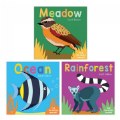 Now You See It Board Books - Set of 3