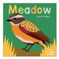 Thumbnail Image #2 of Now You See It Board Books - Set of 3
