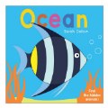 Thumbnail Image #3 of Now You See It Board Books - Set of 3