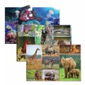 Thumbnail Image of Wildlife Floor Puzzles - Set of 3