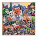 Primary Thumbnail of Fun Facts Desert Friends Wood Puzzle - 48 Pieces