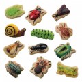 Primary Thumbnail of Sensory Play Stones: Bugs - 12 Pieces