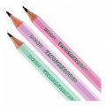 Alternate Thumbnail #3 of Ticonderoga&reg; Wooden Pastel Pencils Pre-Sharpened - 150 Count