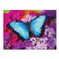 Alternate Thumbnail #5 of Iridescence Butterfly Jigsaw Puzzle - 550 Pieces