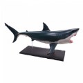 Alternate Thumbnail #2 of Great White Shark Anatomy Model - 20 Detachable Parts