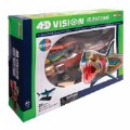 Alternate Thumbnail #3 of Great White Shark Anatomy Model - 20 Detachable Parts