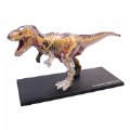 Primary Thumbnail of T-Rex Anatomy Model - 36 Detachable Parts