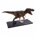 Alternate Thumbnail #2 of T-Rex Anatomy Model - 36 Detachable Parts