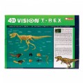 Alternate Thumbnail #4 of T-Rex Anatomy Model - 36 Detachable Parts