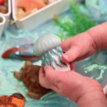 Alternate Thumbnail #4 of Sensory Play Stones: Ocean Life - 8 Pieces