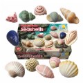 Alternate Thumbnail #9 of Sensory Play Stones: Seashells - 12 Pieces