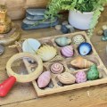 Alternate Thumbnail #7 of Sensory Play Stones: Seashells - 12 Pieces