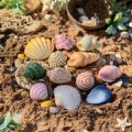 Alternate Thumbnail #8 of Sensory Play Stones: Seashells - 12 Pieces
