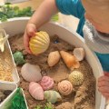 Alternate Thumbnail #2 of Sensory Play Stones: Seashells - 12 Pieces