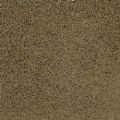 Alternate Thumbnail #5 of KIDply&reg; Soft Solids - 6' x 9' Rectangle - Brown Sugar