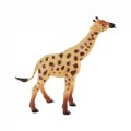 Thumbnail Image #2 of African Animals Collection - Set of 6