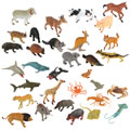 Wildlife Animals Collection - Set of 32