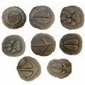 Thumbnail Image of Farmyard Footprints™ Stones - Set of 8