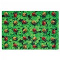 Ladybug Seating Carpet - 6' x 9'