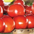Alternate Image #3 of Beefsteak Tomato Seeds 3-Pack