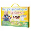 Thumbnail Image #4 of Life Cycle Figurines - 24 Pieces