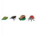 Thumbnail Image #7 of Life Cycle Figurines - 24 Pieces
