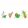 Thumbnail Image #9 of Life Cycle Figurines - 24 Pieces