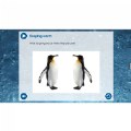 Thumbnail Image #6 of Pre-Coding with Penguins for Large Screens