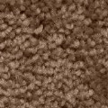 Alternate Image #2 of Nature Inspired Carpet - Wheat - 8' x 12' Rectangle