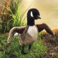 Thumbnail Image #2 of Canada Goose Hand Puppet