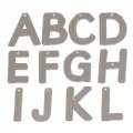 Thumbnail Image #2 of Mirror Letters - Uppercase