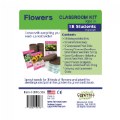 Thumbnail Image #2 of Growing Flowers Classroom Kit