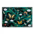 Thumbnail Image #4 of Discover New Places Floor Puzzles - Set of 2
