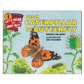 From Caterpillar to Butterfly - Paperback