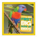Primary Thumbnail of First Book of Birds - Hardcover
