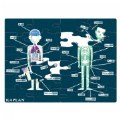 Thumbnail Image #2 of Human Body Puzzle with 24 Pieces