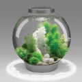 Alternate Image #2 of BiOrb 8 Gallon Aquarium - Silver