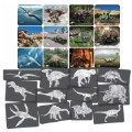 Dinosaur Picture Cards & X-Rays