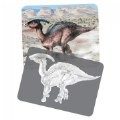 Thumbnail Image #4 of Dinosaur Picture Cards & X-Rays