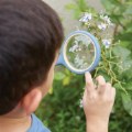 Alternate Image #4 of All-Weather Magnifying Glass - Set of 4