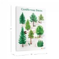 Alternate Image #5 of Coniferous Tree Giclee Classroom Wall Print