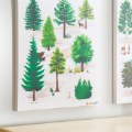 Alternate Image #3 of Coniferous Tree Giclee Classroom Wall Print