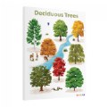 Alternate Image #4 of Deciduous Tree Giclee Classroom Wall Print