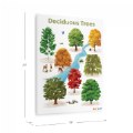 Alternate Image #5 of Deciduous Tree Giclee Classroom Wall Print