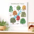 Alternate Image #2 of Deciduous Tree Giclee Classroom Wall Print