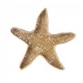 Thumbnail Image #3 of Starfish Washable Wicker Basket