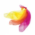 Alternate Image #4 of Musical Scarves & Physical Activity CD with 12 Colorful Scarves