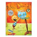 Primary Thumbnail of No David! - Hardback
