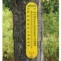 Alternate Image #4 of Classroom Thermometer