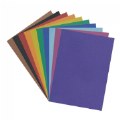 Poster Board 22" x 28" - Assorted Colors - 100 Sheets
